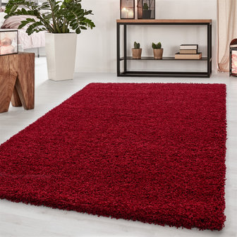 dream shaggy vloerkleed rood