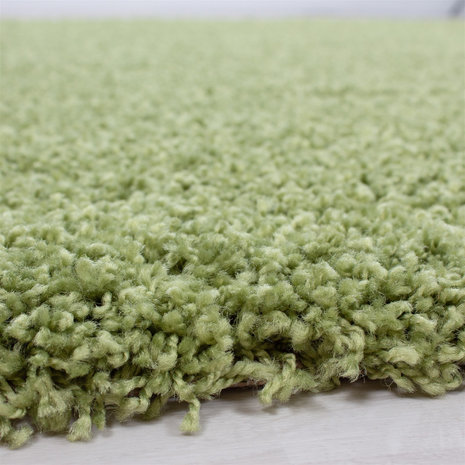 Vloerkleed Dream Shaggy Groen 4000