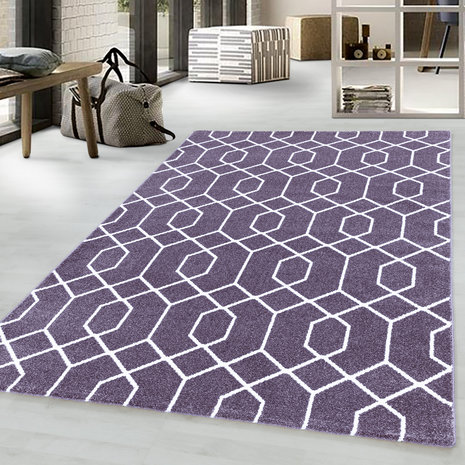 Vloerkleed Efor Violet 3713