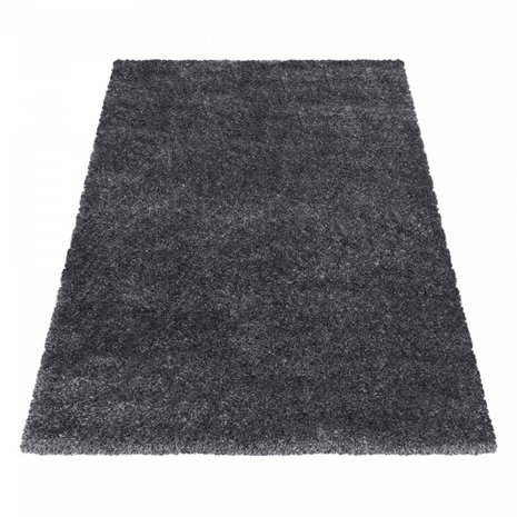 Vloerkleed Brilliant Shaggy Grijs 4200